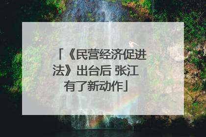《民营经济促进法》出台后 张江有了新动作
