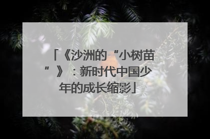 《沙洲的“小树苗”》：新时代中国少年的成长缩影