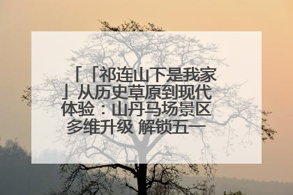 「祁连山下是我家」从历史草原到现代体验：山丹马场景区多维升级 解锁五一文旅新玩法