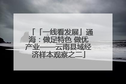 「一线看发展」通海：做足特色 做优产业——云南县域经济样本观察之二
