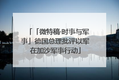 「微特稿·时事与军事」德国总理批评以军在加沙军事行动