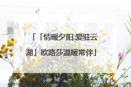 「情暖夕阳.爱驻云湖」欧路莎温暖常伴