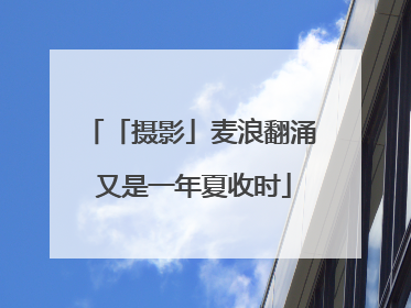 「摄影」麦浪翻涌 又是一年夏收时