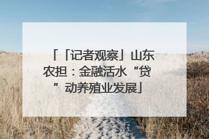 「记者观察」山东农担：金融活水“贷”动养殖业发展