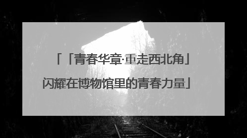 「青春华章·重走西北角」闪耀在博物馆里的青春力量