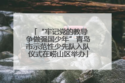 “牢记党的教导 争做强国少年”青岛市示范性少先队入队仪式在崂山区举办