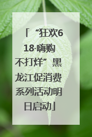 “狂欢618·嗨购不打烊”黑龙江促消费系列活动明日启动