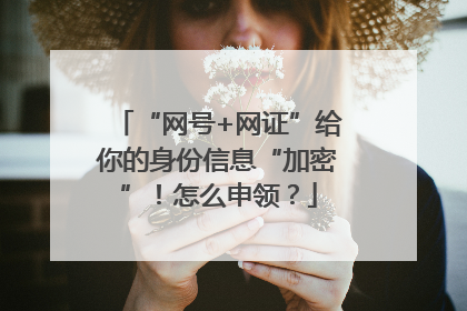 “网号+网证”给你的身份信息“加密”！怎么申领？