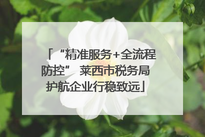 “精准服务+全流程防控” 莱西市税务局护航企业行稳致远