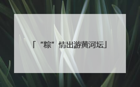“粽”情出游黄河坛