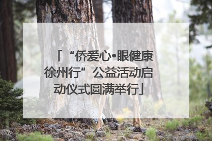 “侨爱心•眼健康徐州行”公益活动启动仪式圆满举行
