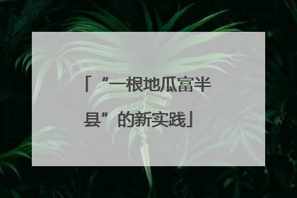 “一根地瓜富半县”的新实践