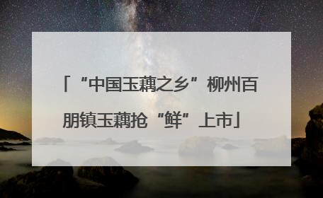 “中国玉藕之乡”柳州百朋镇玉藕抢“鲜”上市
