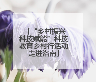“乡村振兴 科技赋能”科技教育乡村行活动走进洛南