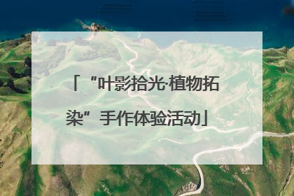 “叶影拾光·植物拓染”手作体验活动