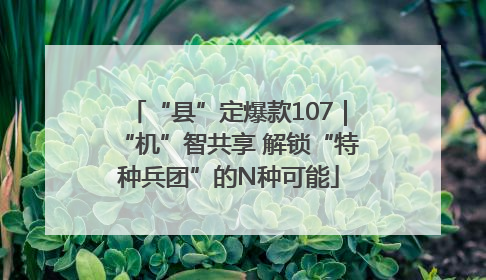“县”定爆款107｜“机”智共享 解锁“特种兵团”的N种可能