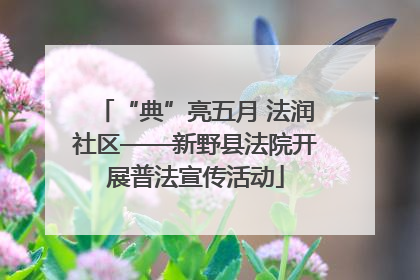 “典”亮五月 法润社区——新野县法院开展普法宣传活动