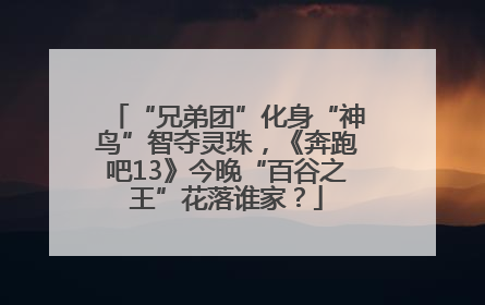 “兄弟团”化身“神鸟”智夺灵珠，《奔跑吧13》今晚“百谷之王”花落谁家？