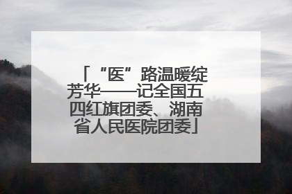 “医”路温暖绽芳华——记全国五四红旗团委、湖南省人民医院团委