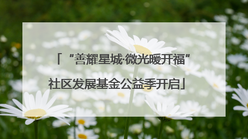 “善耀星城·微光暖开福”社区发展基金公益季开启