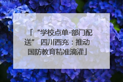 “学校点单-部门配送” 四川西充：推动国防教育精准滴灌