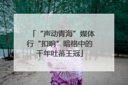 “声动青海”媒体行“扣响”暗格中的千年吐蕃王冠