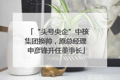 “头号央企”中核集团换帅，原总经理申彦锋升任董事长