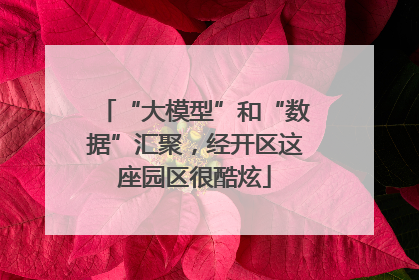 “大模型”和“数据”汇聚，经开区这座园区很酷炫