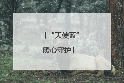“天使蓝” 暖心守护