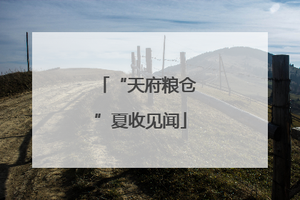 “天府粮仓”夏收见闻