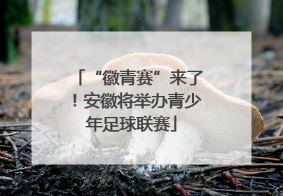 “徽青赛”来了！安徽将举办青少年足球联赛