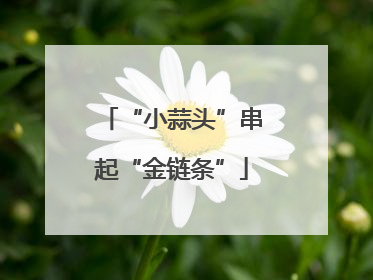“小蒜头”串起“金链条”