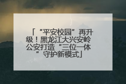 “平安校园”再升级！黑龙江大兴安岭公安打造“三位一体”守护新模式