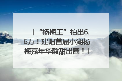 “杨梅王”拍出6.6万！建阳首届小湖杨梅嘉年华酸甜出圈！