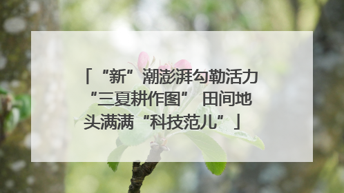 “新”潮澎湃勾勒活力“三夏耕作图” 田间地头满满“科技范儿”