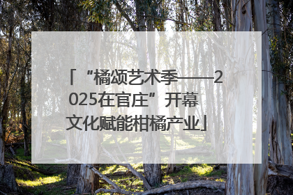 “橘颂艺术季——2025在官庄”开幕 文化赋能柑橘产业