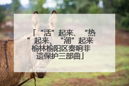 “活”起来、“热”起来、“潮”起来 榆林榆阳区奏响非遗保护三部曲