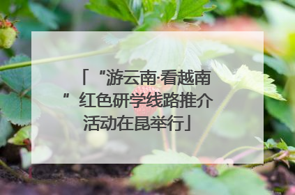 “游云南·看越南”红色研学线路推介活动在昆举行