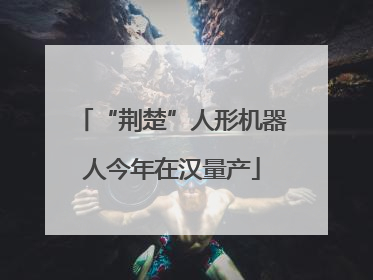 “荆楚”人形机器人今年在汉量产