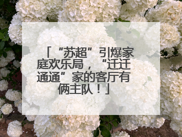 “苏超”引爆家庭欢乐局，“迁迁通通”家的客厅有俩主队！