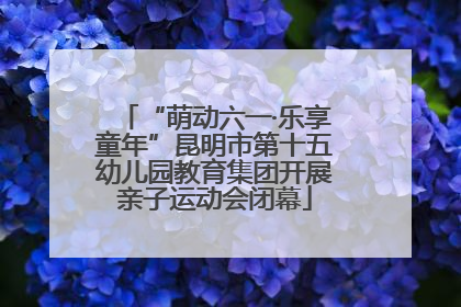 “萌动六一·乐享童年”昆明市第十五幼儿园教育集团开展亲子运动会闭幕