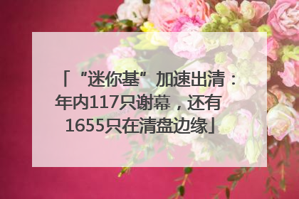 “迷你基”加速出清：年内117只谢幕，还有1655只在清盘边缘