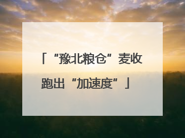 “豫北粮仓”麦收跑出“加速度”
