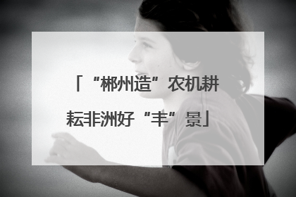“郴州造”农机耕耘非洲好“丰”景