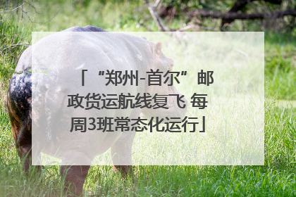 “郑州-首尔”邮政货运航线复飞 每周3班常态化运行