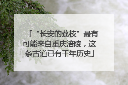 “长安的荔枝”最有可能来自重庆涪陵，这条古道已有千年历史