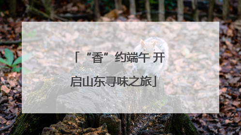 “香”约端午 开启山东寻味之旅