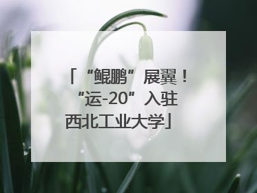 “鲲鹏”展翼！“运-20”入驻西北工业大学