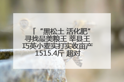 “黑松土 活化肥”寻找最美粮王 莘县王巧英小麦实打实收亩产1515.4斤 超对照田144斤！