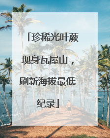 珍稀光叶蕨现身瓦屋山，刷新海拔最低纪录